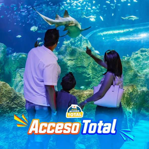 Acceso Total