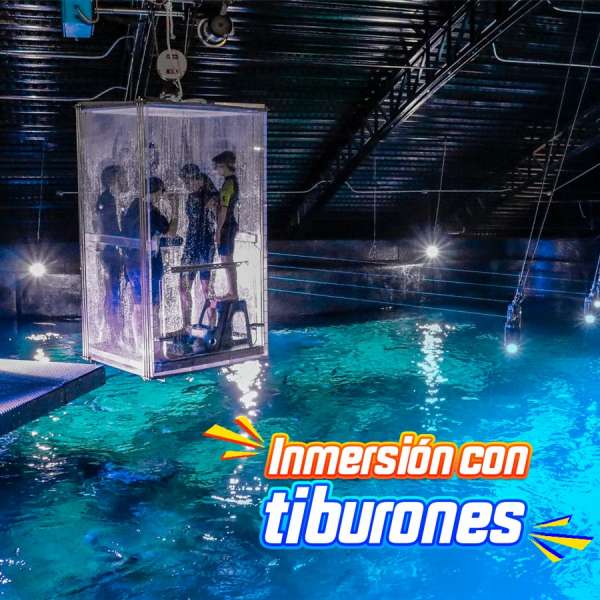 Inmersión con tiburones