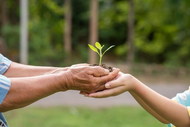 Foto gratuita anciano y niños con planta